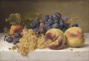 Johann Wilhelm Preyer A Still Life with Peaches and Grapes on a Marble Ledge Spain oil painting artist
